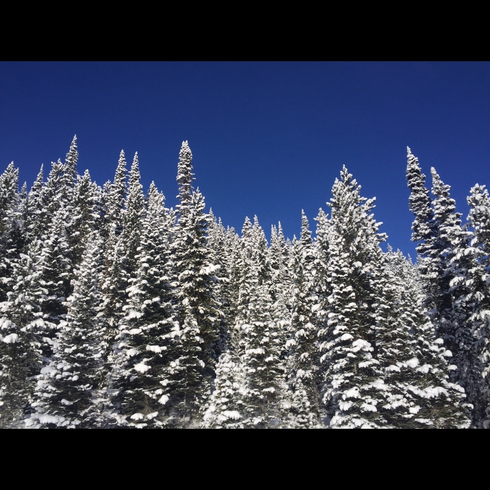 Meet your Posher, Tanvi